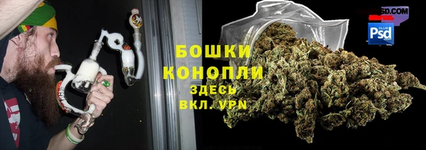 ALPHA-PVP Новозыбков