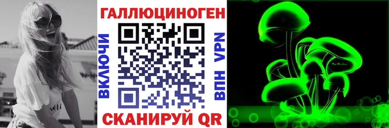 Псилоцибиновые грибы Psilocybe  блэк спрут tor  Рошаль 