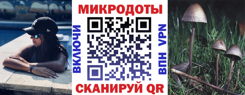 Псилоцибиновые грибы мицелий Рошаль